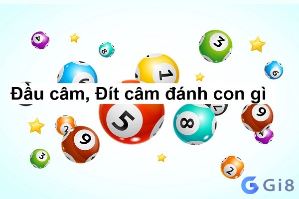 Giải mã dit cam danh lo gi? Giải mã dit cam danh lo gi?