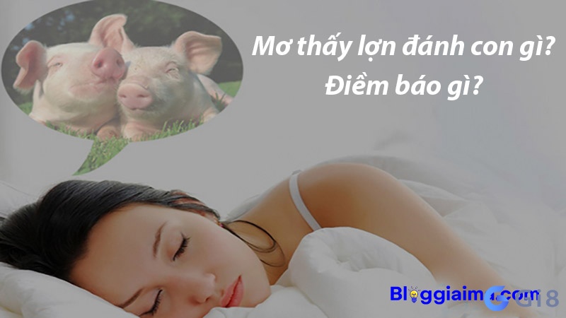 Giải mã về giấc mơ khi thấy heo Giải mã về giấc mơ khi thấy heo