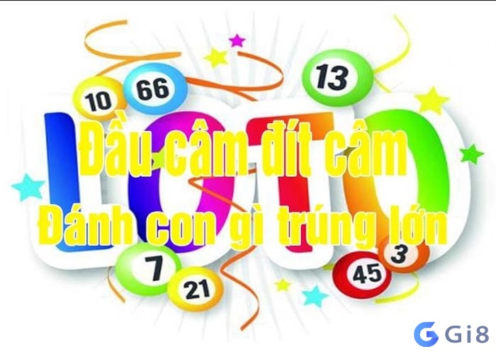 Soi đầu và đuôi lô câm đánh con gì dễ trúng Soi đầu và đuôi lô câm đánh con gì dễ trúng