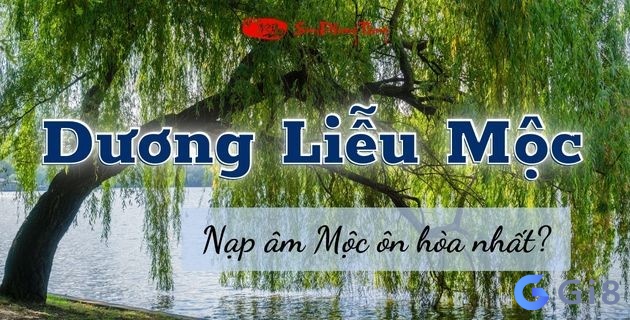 Người có mệnh Dương Liễu Mộc hợp màu gì và mệnh nào? Người có mệnh Dương Liễu Mộc hợp màu gì và mệnh nào?