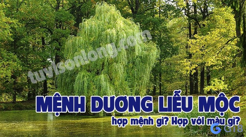 Hợp và khắc với những mệnh nào? Hợp và khắc với những mệnh nào?