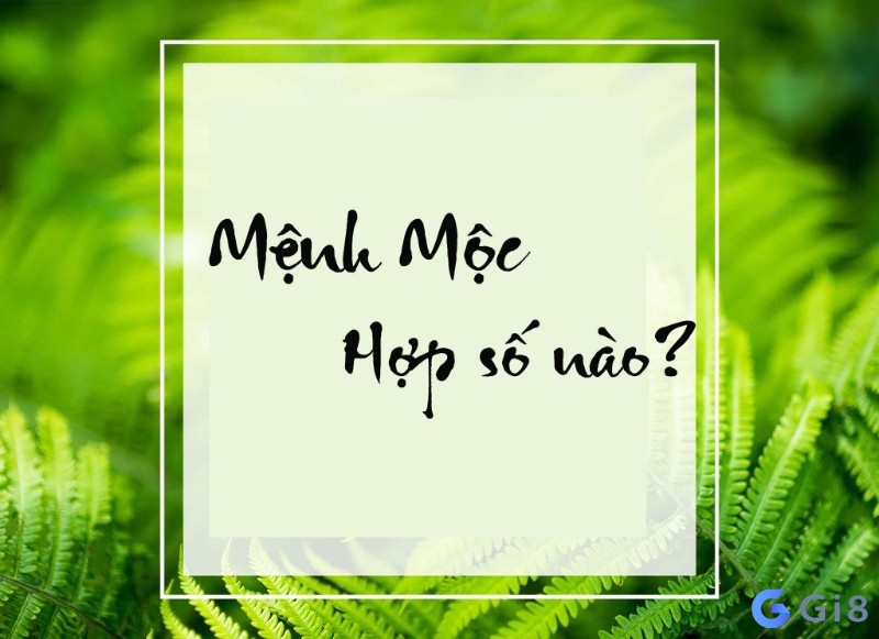 Mệnh Mộc hợp với số nào? Mệnh Mộc hợp với số nào?