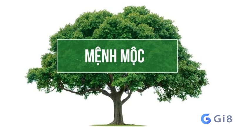 Người mang mệnh mộc thường có tính cách nhah nhẹn, hào phóng Người mang mệnh mộc thường có tính cách nhah nhẹn, hào phóng