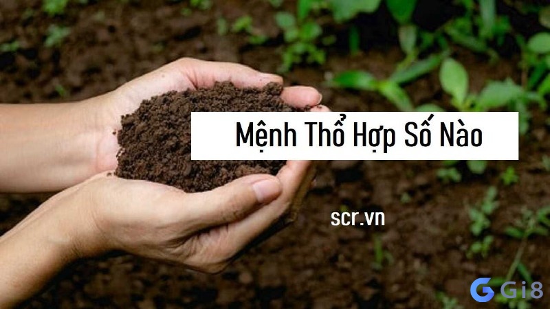 Mệnh thổ hợp số nào? Cùng gi88 tìm hiểu ý nghĩa những con số Mệnh thổ hợp số nào? Cùng gi88 tìm hiểu ý nghĩa những con số