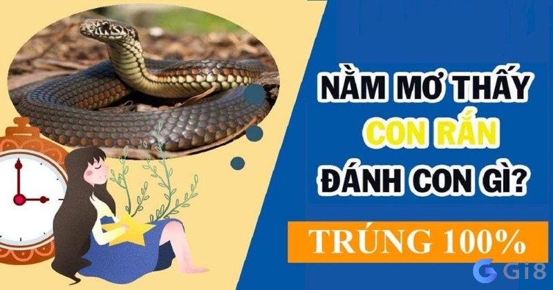 Chiêm bao thấy rắn thì nên đánh con gì? Mơ gặp rắn đánh đề con gì