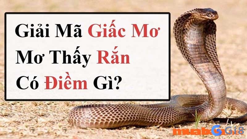 Con rắn trong mơ là báo hiệu điềm gì? Mơ gặp rắn đánh đề con gì