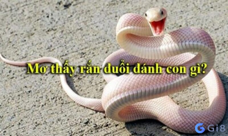Nằm mơ thấy rắn đánh con gì: Gi88 giải mã các con số Nằm mơ thấy rắn đánh con gì: Gi88 giải mã các con số