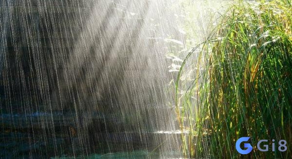Mơ thấy trời mưa chứa đựng nhiều ý nghĩa khác nhau Mơ thấy trời mưa chứa đựng nhiều ý nghĩa khác nhau