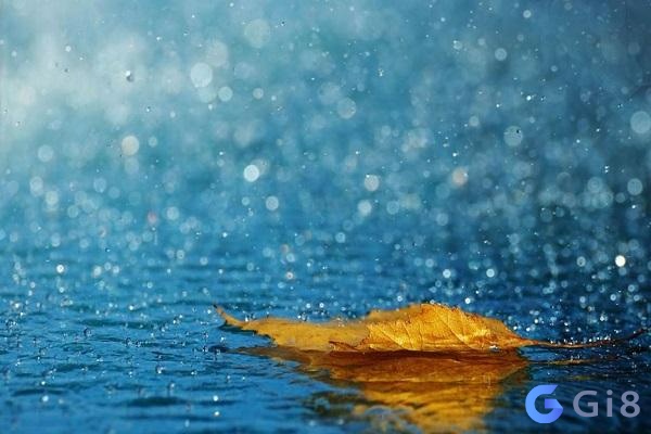 Nằm Mơ thấy trời mưa nên đánh con gì còn tùy thuộc vào chi tiết giấc mơ như thế nào Nằm Mơ thấy trời mưa nên đánh con gì còn tùy thuộc vào chi tiết giấc mơ như thế nào