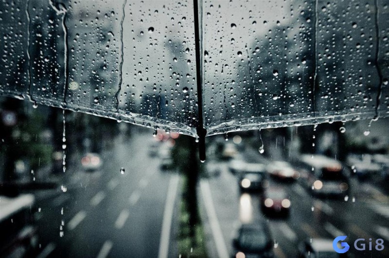 Một vài giấc mơ thấy bối cảnh mưa khác nhau Trời mưa đánh con gì đem lại may mắn