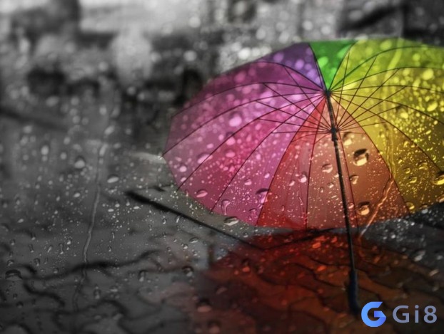 Trời mưa đánh con gì? Ý nghĩa khi trong mơ thấy mưa Trời mưa đánh con gì? Ý nghĩa khi trong mơ thấy mưa