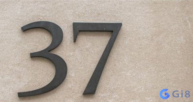 37 là con gì trong số đề? Mơ thấy số 37 đánh con số mấy? 37 là con gì trong số đề?