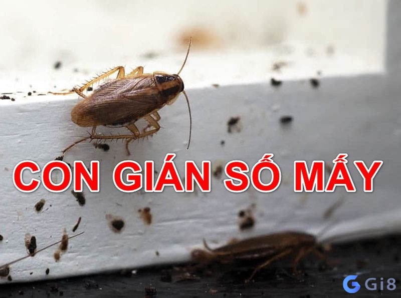 Mơ thấy con gián thì chơi đề số mấy? Nếu nằm mơ thấy con gián là số mấy chơi đề dễ thắng?