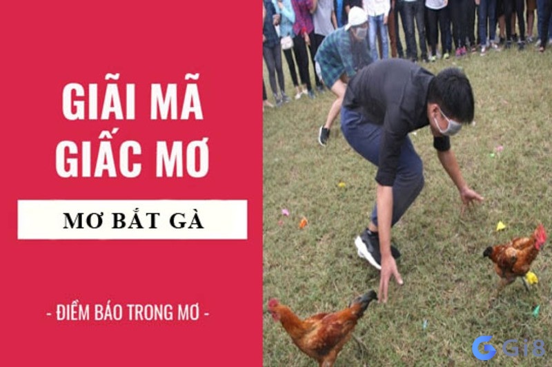 Chiêm bao thấy bắt gà có ý nghĩa như thế nào? Chiêm bao thấy bắt gà có ý nghĩa như thế nào?