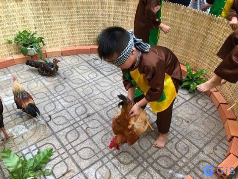 Các thông tin giải mã giấc mộng chuẩn nhất Các thông tin giải mã giấc mộng chuẩn nhất