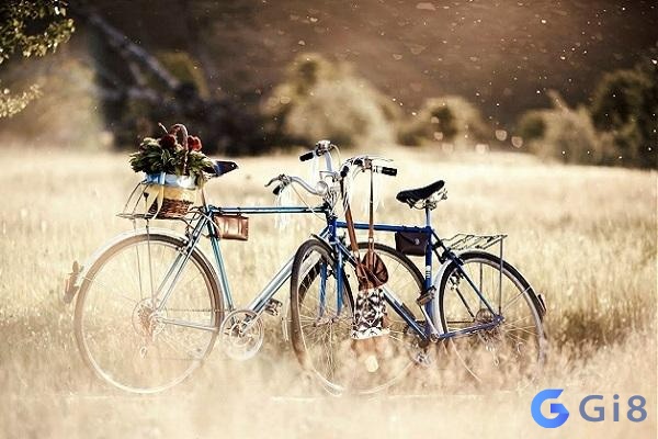 Mơ thấy chạy xe đạp thường liên quan đến công việc làm ăn Mơ thấy chạy xe đạp thường liên quan đến công việc làm ăn