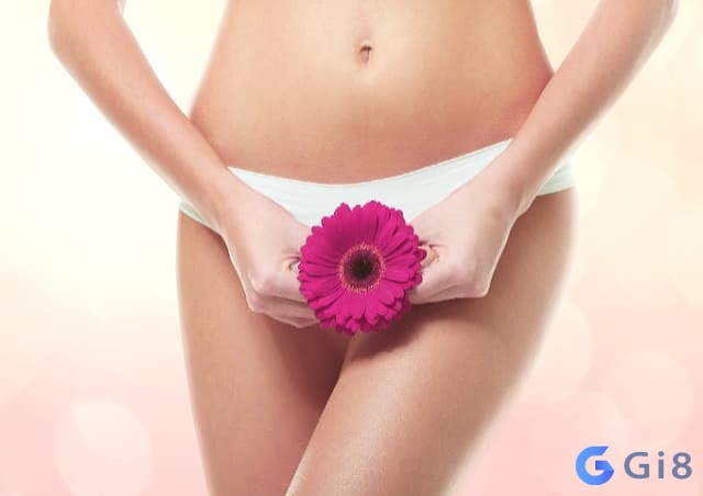 Ý nghĩa của giấc mơ thấy vùng kín phụ nữ. Ý nghĩa của giấc mơ thấy vùng kín phụ nữ.