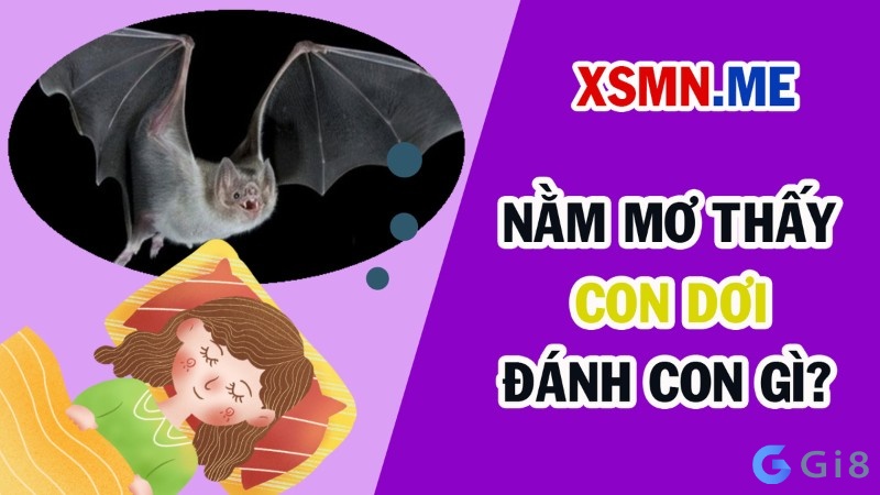 Mơ thấy con dơi đánh con gì để trúng độc đắc? Mơ thấy con dơi đánh con gì để trúng độc đắc?