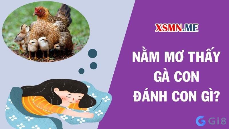 Mơ thấy con gà đánh con gì? Mơ thấy con gà đánh con gì?