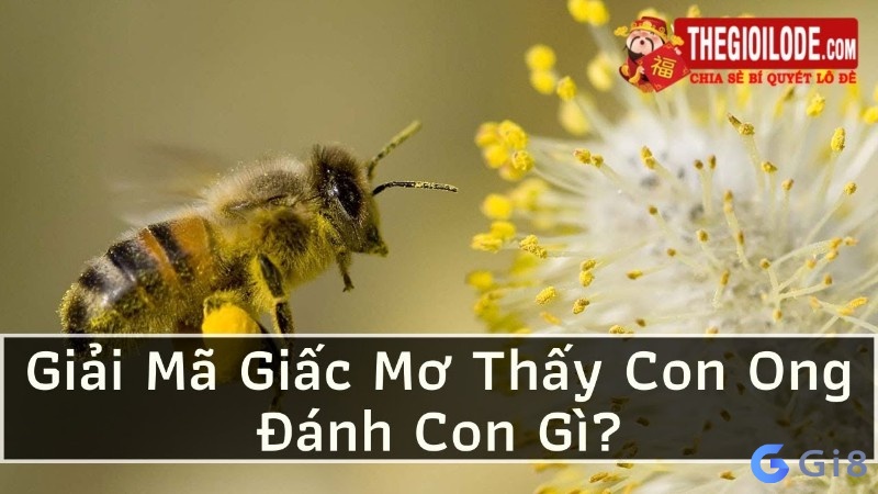 Mơ thấy con ong đánh số mấy đổi đời? Mơ thấy con ong đánh số mấy đổi đời?