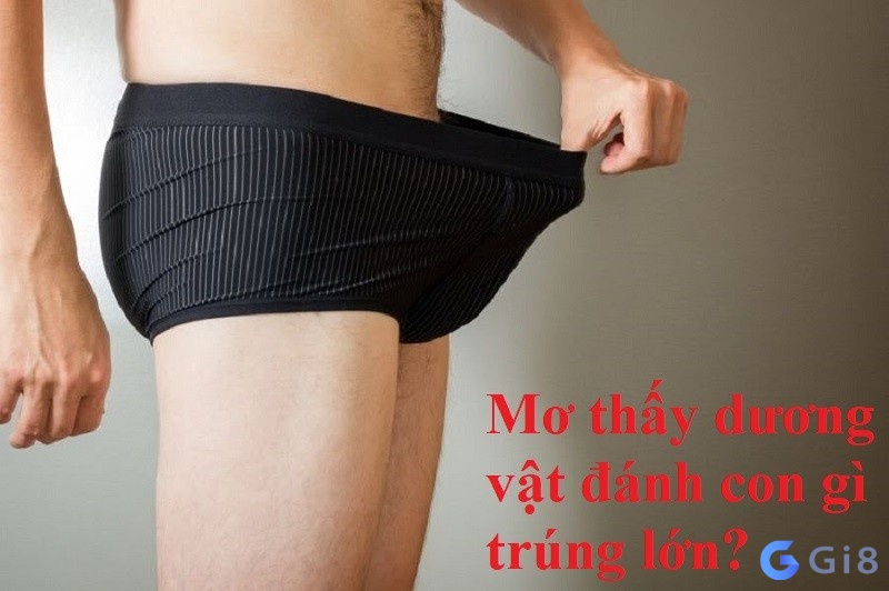 Gi8 giải đáp mơ thấy dương vật đánh con gì thắng lớn Gi8 giải đáp mơ thấy dương vật đánh con gì thắng lớn