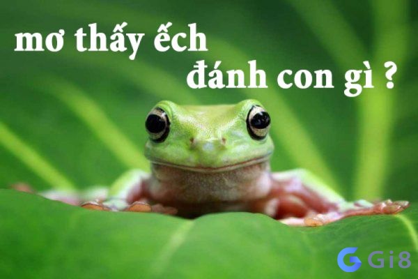 Các con số may mắn ẩn chứa trong giấc mộng mơ thấy ếch đánh con gì