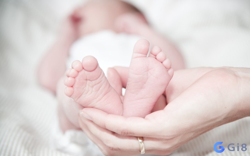 Giấc chiêm bao cho thấy bạn sẽ thuận lợi khi hạ sinh bé Giấc chiêm bao cho thấy bạn sẽ thuận lợi khi hạ sinh bé