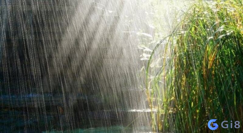 Mơ thấy mưa to nên đánh con gì? Mơ thấy mưa to đánh con gì?
