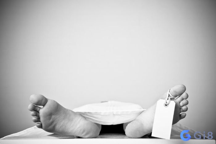 Mơ thấy người đã chết đánh con gì dễ trúng? mơ thấy người đã chết đánh con gì