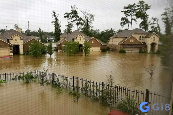 Mơ thấy nước lũ đánh con gì còn tùy thuộc vào chi tiết giấc mơ Mơ thấy nước lũ đánh con gì còn tùy thuộc vào chi tiết giấc mơ