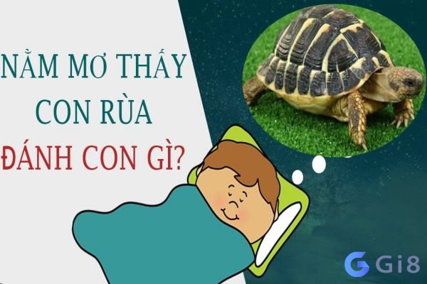 Khi mơ thấy rùa đánh đề con gì để đổi đời? Khi mơ thấy rùa đánh đề con gì để đổi đời?