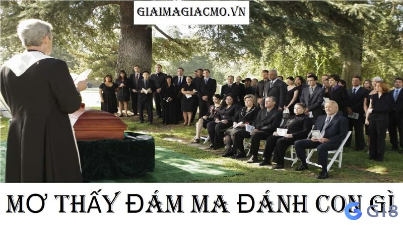Mơ thấy tang lễ thì nên đánh con số gì đổi đời? Mơ thấy tang lễ thì nên đánh con số gì đổi đời?