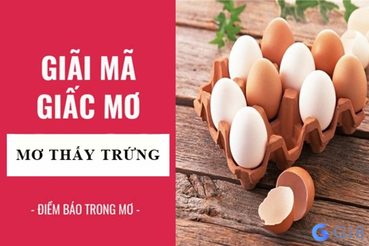 Giải mã giấc mơ thấy trứng gà cực chuẩn Giải mã giấc mơ thấy trứng gà cực chuẩn