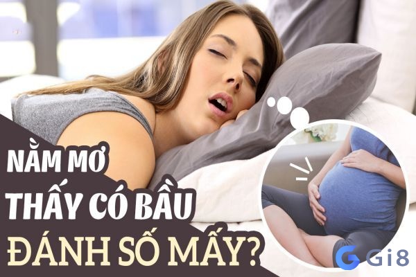 Nằm mơ thấy có bầu đánh con gì? Nằm mơ thấy có bầu đánh con gì?