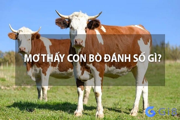 Nằm mơ thấy con bò đánh con gì để đổi vận? Nằm mơ thấy con bò đánh con gì để đổi vận?