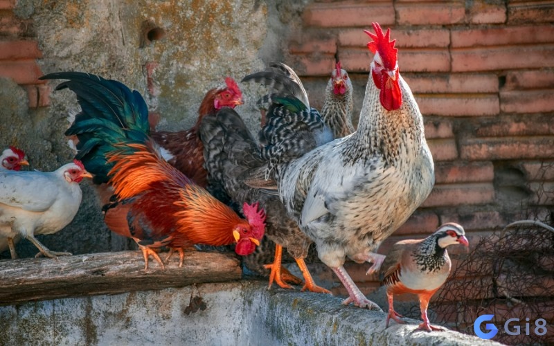 Giấc mộng báo hiệu bạn đang có những khoản thu lớn Giấc mộng báo hiệu bạn đang có những khoản thu lớn