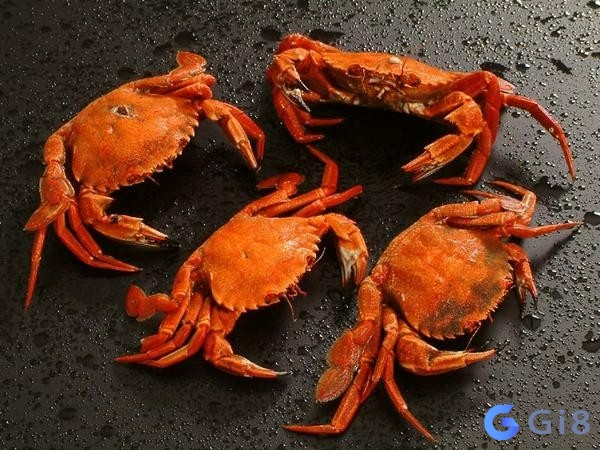 Ý nghĩa giấc mơ thấy cua xuất hiện ý nghĩa giấc mơ thấy cua xuất hiện