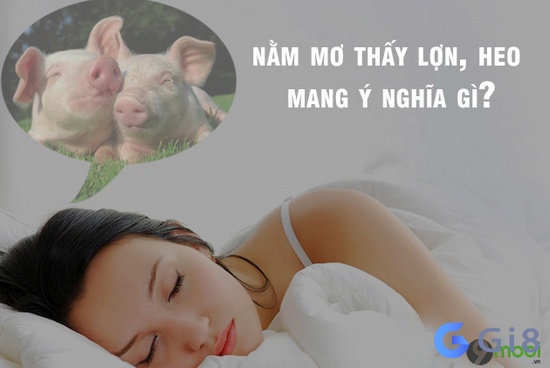 Mộng thấy heo mang tới dự cảm tốt hay xấu cho bạn? Mộng thấy heo mang tới dự cảm tốt hay xấu cho bạn?