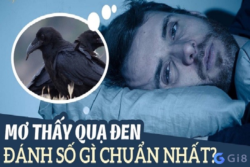 Các con số may mắn và thú vị nhất Nằm mơ thấy quạ đen đánh số nào