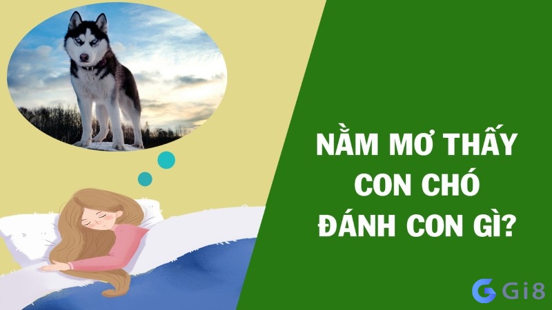 số đề con chó số mấy? Số đề con chó số mấy