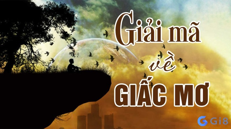 Giấc mộng thấy đàn vịt đang bơi lội báo điềm gì? Giấc mộng thấy đàn vịt đang bơi lội báo điềm gì?