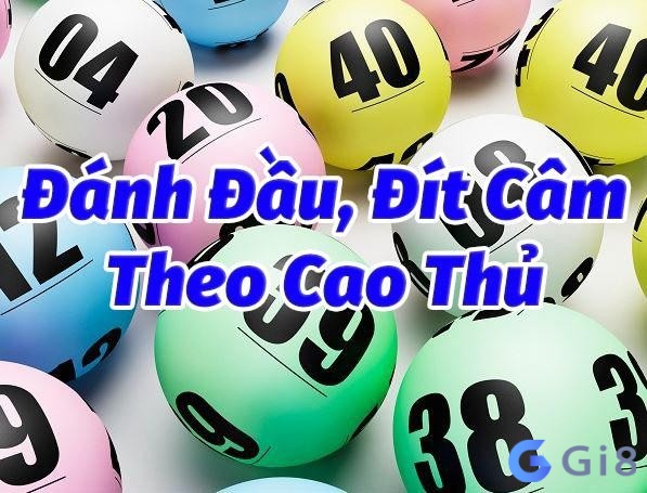 Đầu lô câm đánh con gì trúng lô lớn? Đầu lô câm đánh con gì trúng lô lớn?