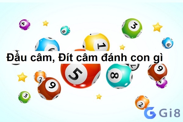 Lô câm đánh con gì dễ thắng? Lô câm đánh con gì dễ thắng?