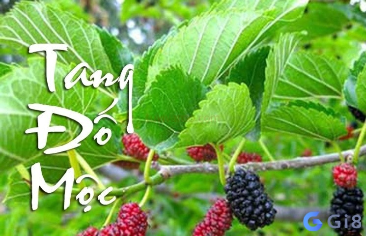 Sự nghiệp và đường công danh của người mệnh này Sự nghiệp và đường công danh của người mệnh này