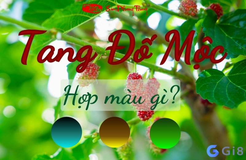 Mệnh Tang đố mộc hợp và khắc màu gì? Mệnh Tang đố mộc hợp và khắc màu gì?