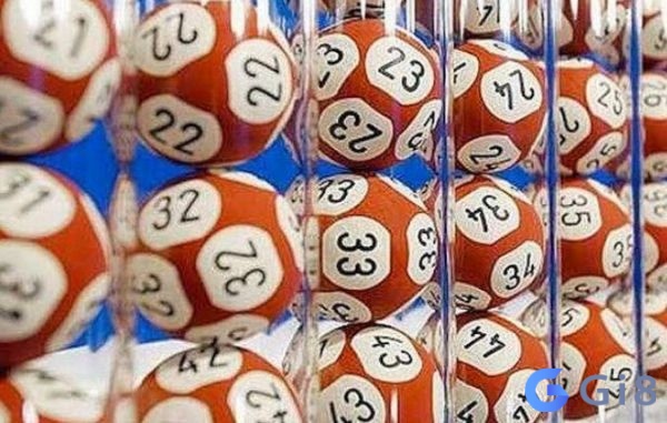 Kinh nghiệm bắt lô hiệu quả Kinh nghiệm bắt lô hiệu quả