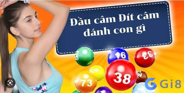 Sử dụng đuôi câm và đầu câm nuôi dàn đề 20 con Sử dụng đuôi câm và đầu câm nuôi dàn đề 20 con