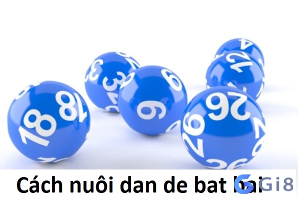 Cách nuôi dan de bat bai chuẩn nhất Cách nuôi dan de bat bai chuẩn nhất