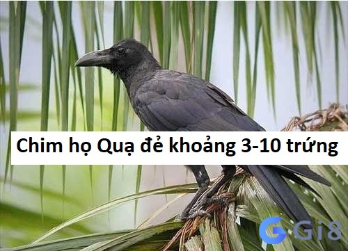 Chim họ Quạ đẻ khoảng 3-10 trứng Chim họ Quạ đẻ khoảng 3-10 trứng