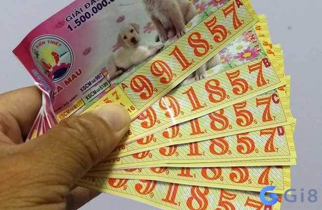 Hình ảnh tập vé số Việt Nam, người chơi Lô đề thường nghiên cứu kết quả kỳ trước để đoán số kỳ này Hình ảnh tập vé số Việt Nam, người chơi Lô đề thường nghiên cứu kết quả kỳ trước để đoán số kỳ này